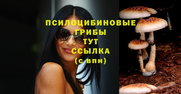 мдма Михайловск