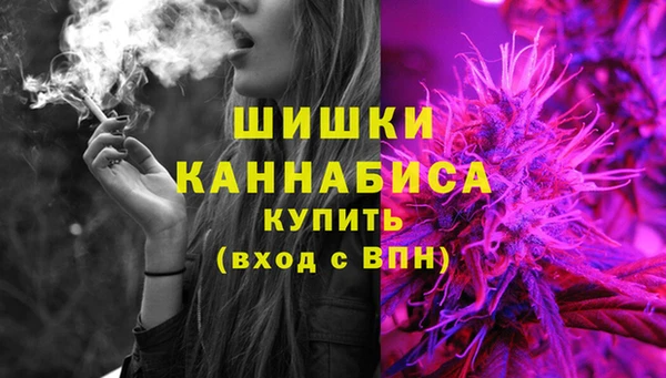 крисы Мегион