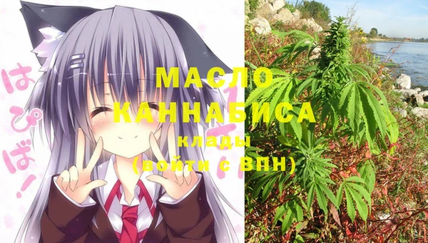 крисы Мегион
