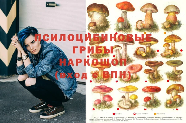 jwh Михайловка