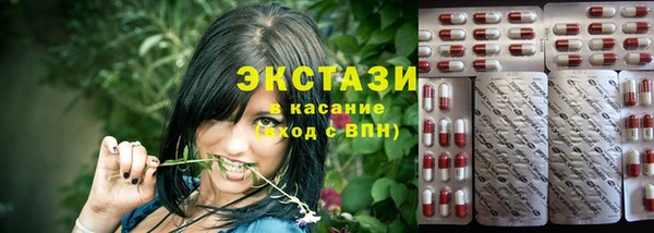 крисы Мегион