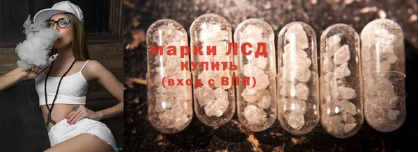 крисы Мегион