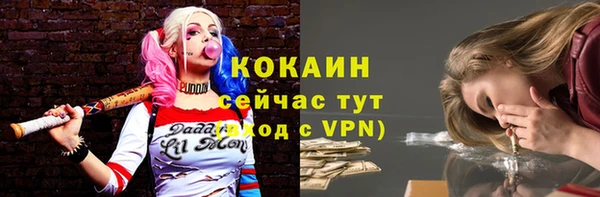 крисы Михайлов