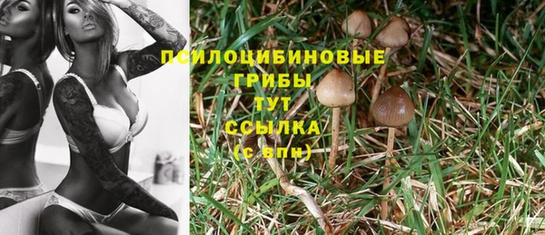 jwh Михайловка