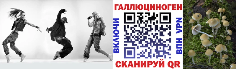 цена   Волгоград  Галлюциногенные грибы прущие грибы 