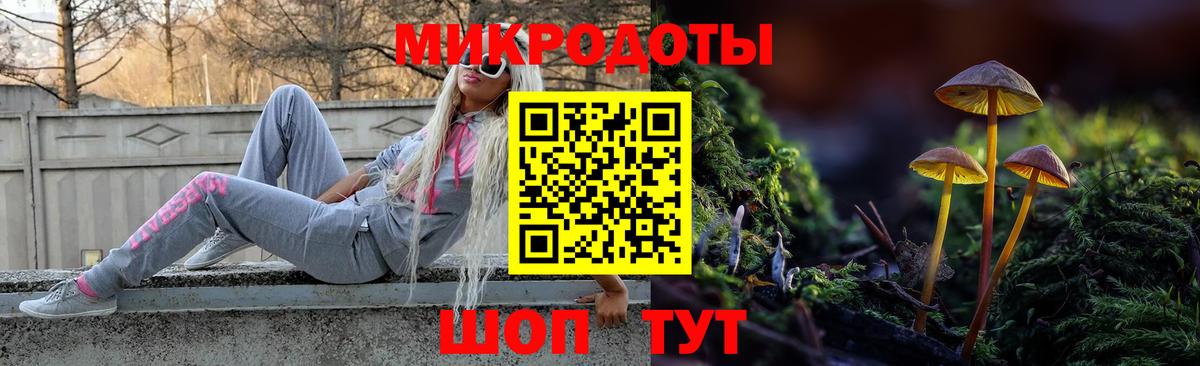Псилоцибиновые грибы Psilocybine cubensis  Вход с VPN  Волгоград  Псилоцибиновые грибы прущие грибы 