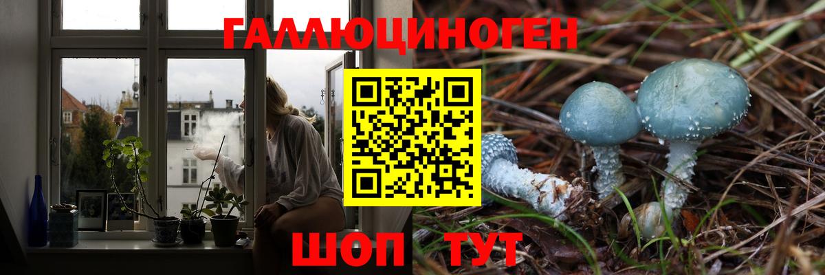 Псилоцибиновые грибы Magic Shrooms Волгоград