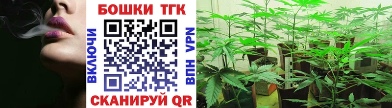 закладка  Волгоград  Каннабис конопля 
