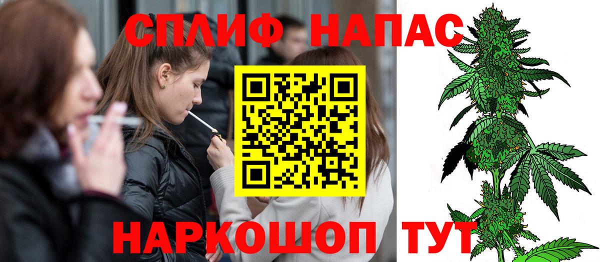 МЕФ Волгоград